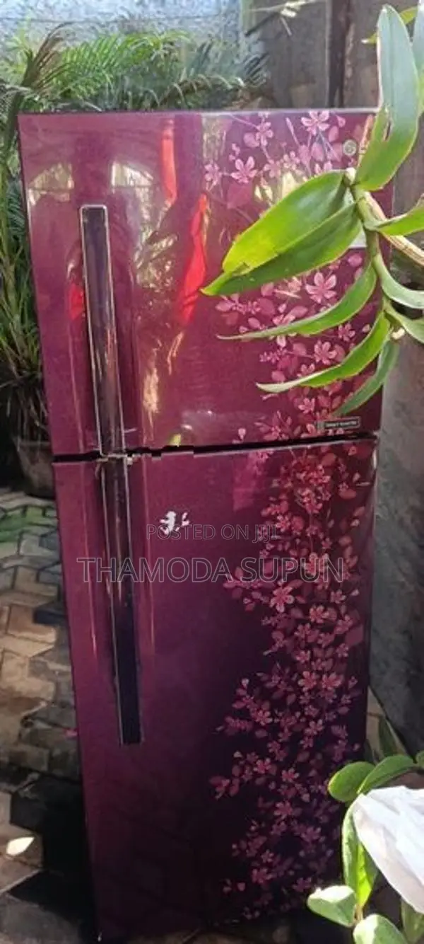 LG Refrigerator 280L