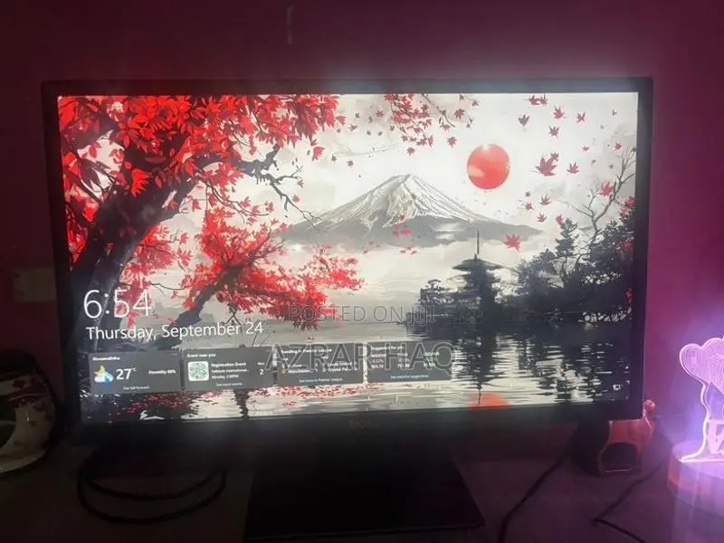 21 Inch Monitor Dell