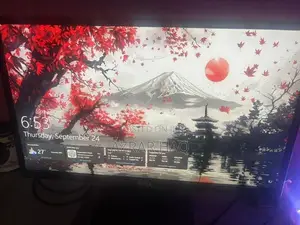 21 Inch Monitor Dell