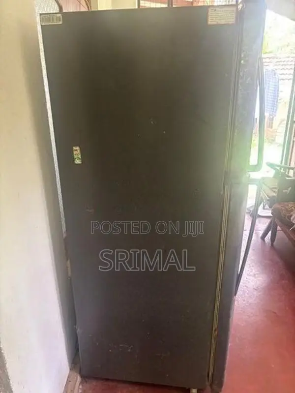 LG 250 L Refrigerator