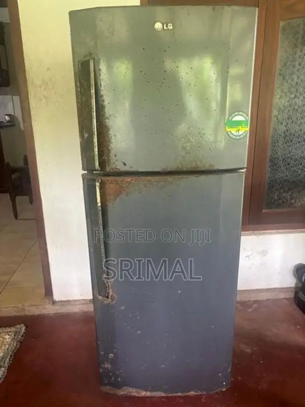 LG 250 L Refrigerator