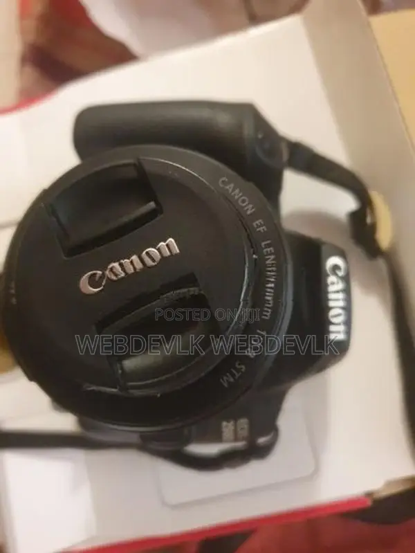 Canon 250D (4k) + 50mm 1.8 STM iii DSLR Camera