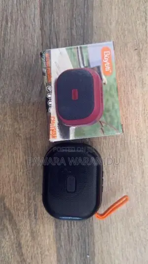 Portable Speaker