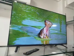 Singer 40 LED TV