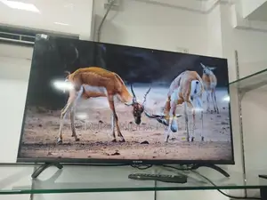 Singer 40 LED TV