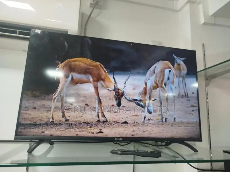 Singer 40 LED TV