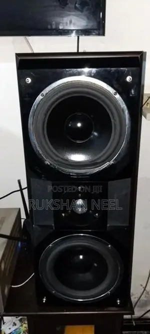Amplifier With Speaker
