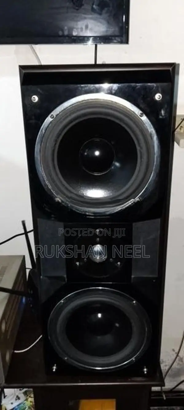 Amplifier With Speaker