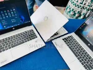 HP ProBook 430 G7 Laptop i5 10th Gen - 8GB RAM|256GB NVME|14"|Wi-Fi