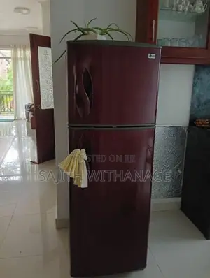LG Double Door Fridge