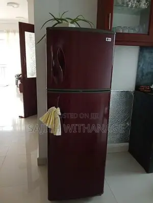LG Double Door Fridge