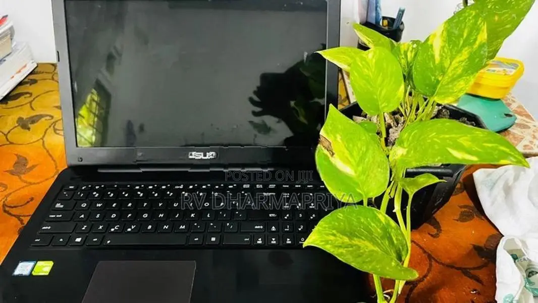 Asus Laptop