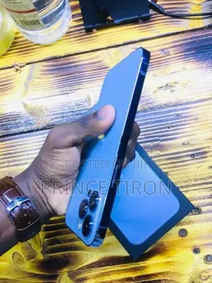 Apple iPhone 13 Pro Max (Used)
