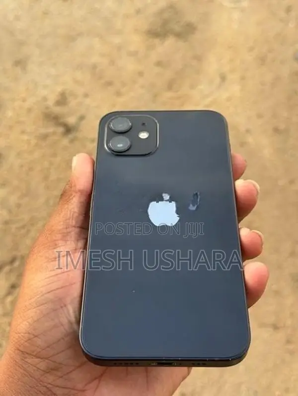 Apple iPhone 12 128GB (Used)