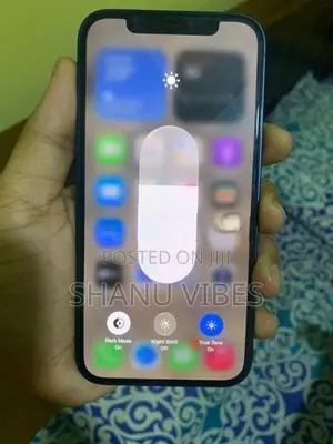 Apple iPhone 12 (Used)