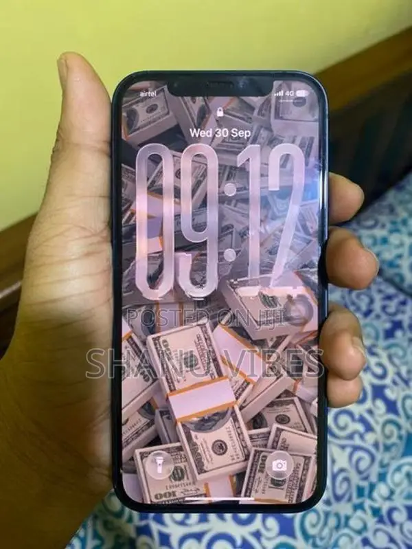 Apple iPhone 12 (Used)