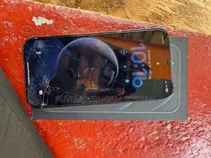 Apple iPhone 12 Pro Max (Used)
