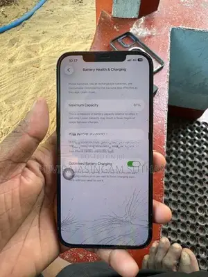 Apple iPhone 12 Pro Max (Used)
