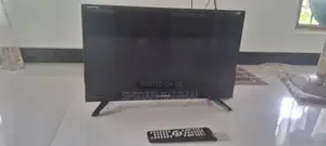 Singer LED TV
