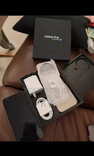 Vivo X300 Pro (Used)