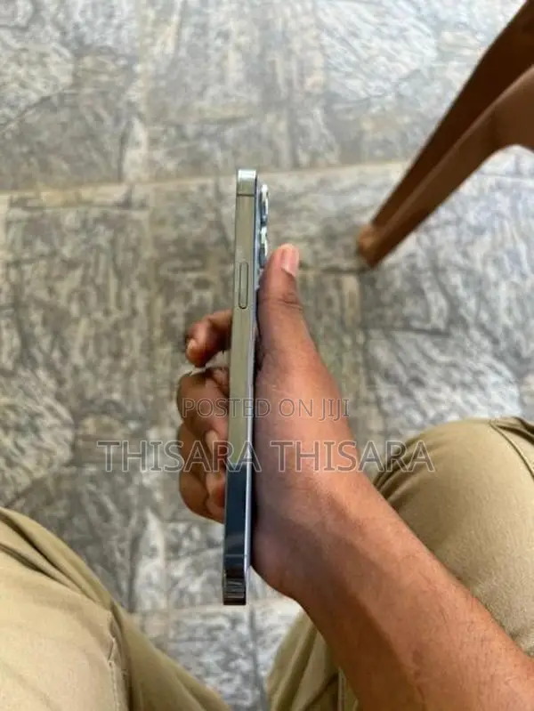 Apple iPhone 13 Pro Max (Used)
