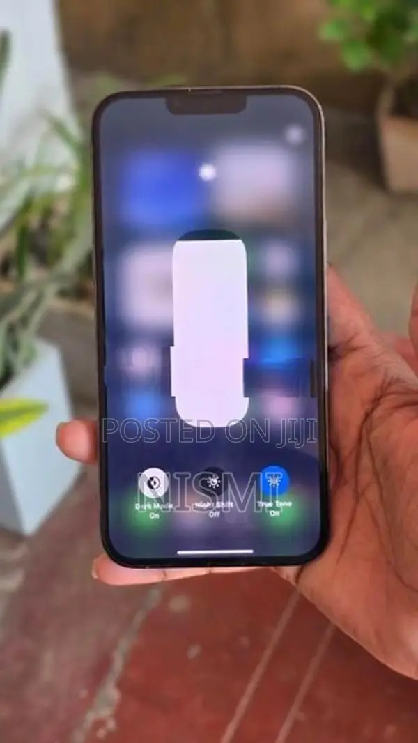 Apple iPhone 13 Pro Max (Used)