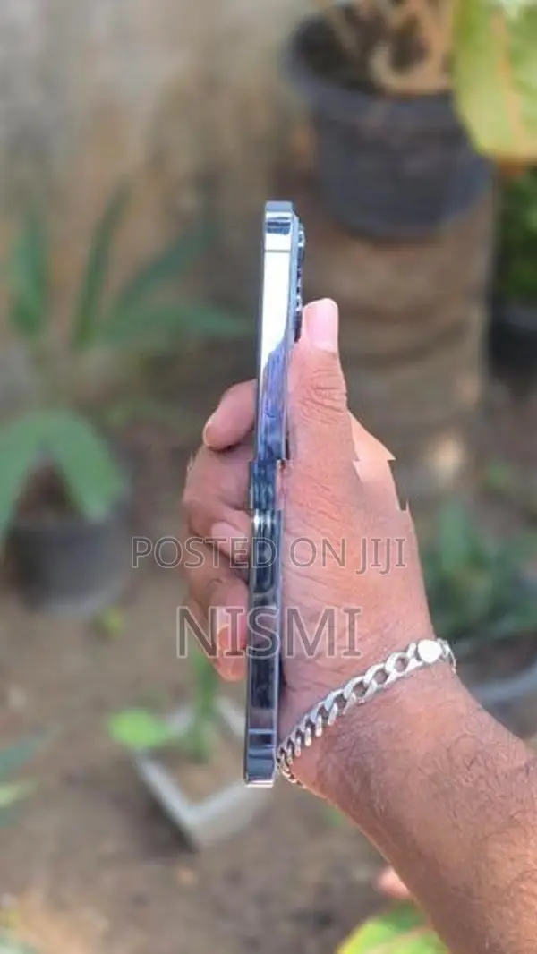 Apple iPhone 13 Pro Max (Used)