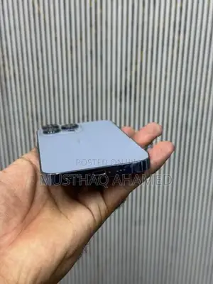 Apple iPhone 13 Pro (Used)