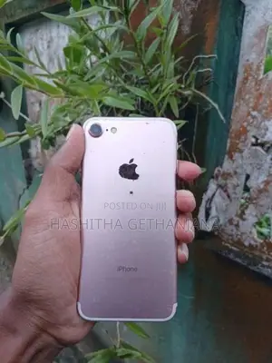 Apple iPhone 7 (Used)