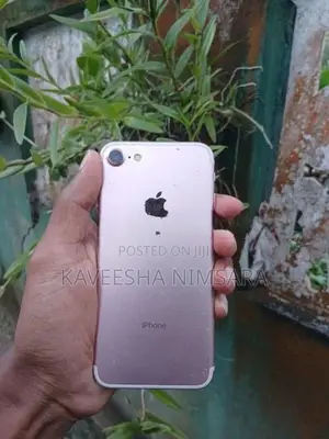 Apple iPhone 7 (Used)