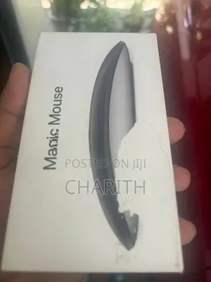 Apple Mouse 2