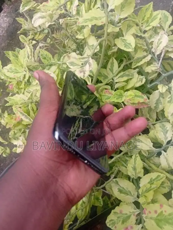Apple iPhone XS (Used)