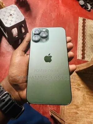 Apple iPhone 13 Pro Max (Used)