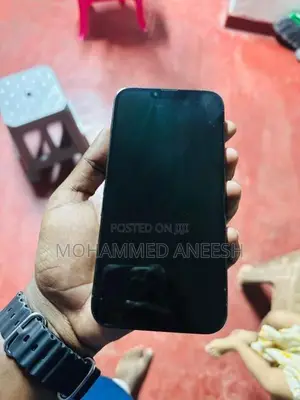 Apple iPhone 13 Pro Max (Used)