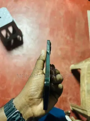 Apple iPhone 13 Pro Max (Used)