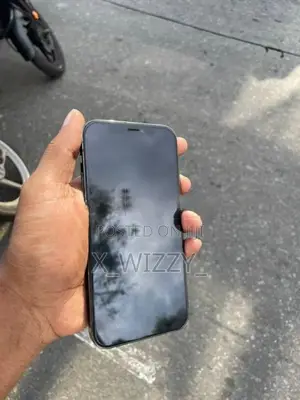Apple iPhone 12 Pro (Used)