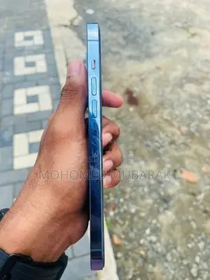 Apple iPhone 13 Pro Max (Used)