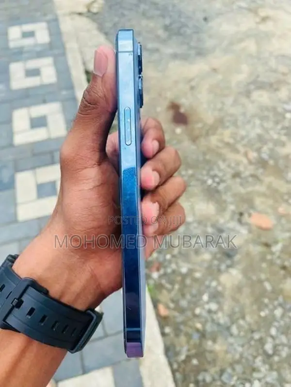 Apple iPhone 13 Pro Max (Used)