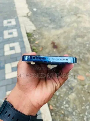 Apple iPhone 13 Pro Max (Used)