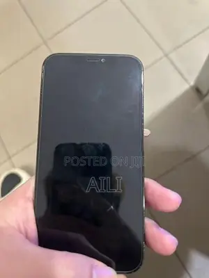 Apple iPhone 12 Pro (Used)