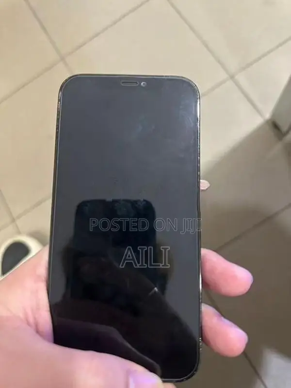 Apple iPhone 12 Pro (Used)