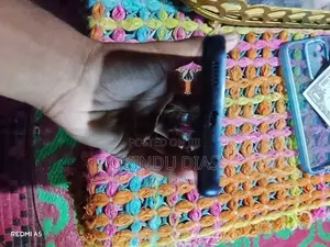 Samsung Galaxy A14 (Used)