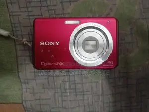 Sony Cyber-Shot DSC-W180 (10.1 MP
