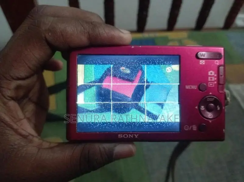 Sony Cyber-Shot DSC-W180 (10.1 MP
