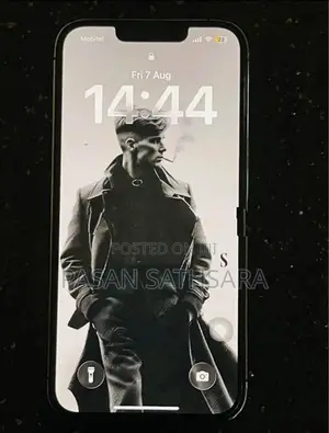 Apple iPhone 13 Pro (Used)