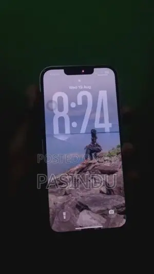 Apple iPhone 13 (Used)