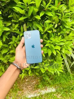 Apple iPhone 12 Pro (Used)