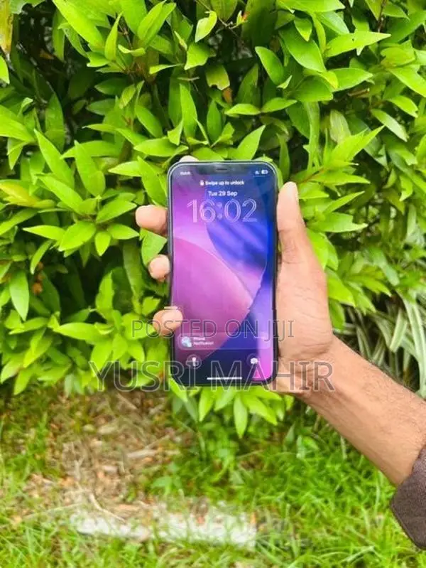 Apple iPhone 12 Pro (Used)