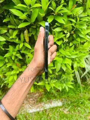 Apple iPhone 12 Pro (Used)