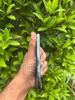 Apple iPhone 12 Pro (Used)